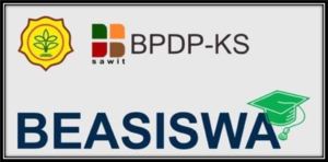 Pengumuman Beasiswa Sawit terbaru Indonesia