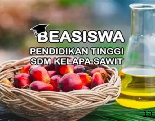 Beasiswa pendididkan SDM kelapa sawit merupakan pilihan yant tepat untuk jenjang karir anak muda indonesia.